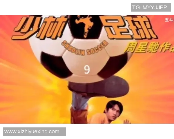 少林足球明星的精彩表现与影响力深度解析与评价
