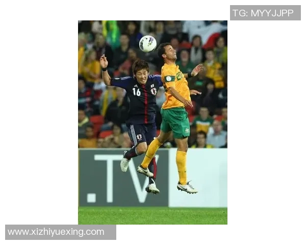 北京排球队在联合会杯中的战术表现分析与点评探讨