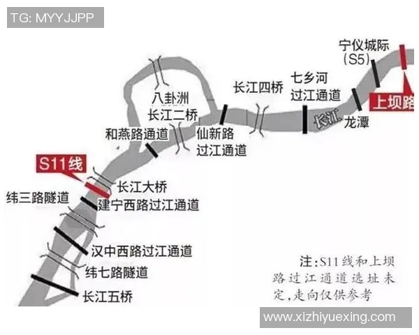 南京乒乓球队重磅革新策略解析全面提升盯防能力的全新路径